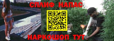 Альфа ПВП Пыть-Ях
