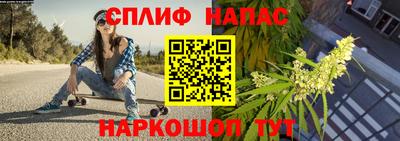 Альфа ПВП Пыть-Ях