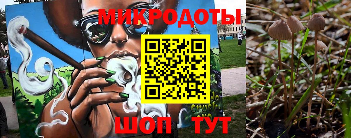 Галлюциногенные грибы Cubensis Ревда